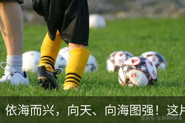 依海而兴，向天、向海图强！这片“蔚蓝”从开放政策到科技力量孕育无限可能